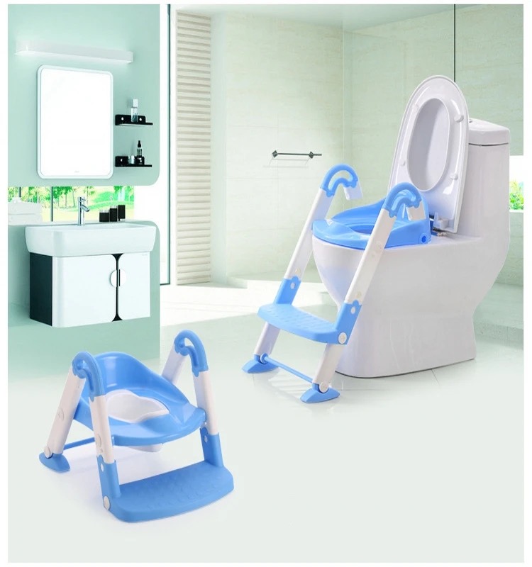 3 In 1 Potty Training Seat And Ladder