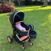 3-In-1 Premium Stroller 1 Complete Set Of The 3-In-1 Premium Stroller Including Bassinet And Car Seat In A Serene Outdoor Environment.